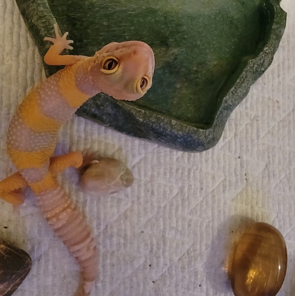 Too shy to make an offer? - Picture 7 of 10